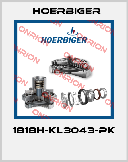 1818H-KL3043-PK  Hoerbiger