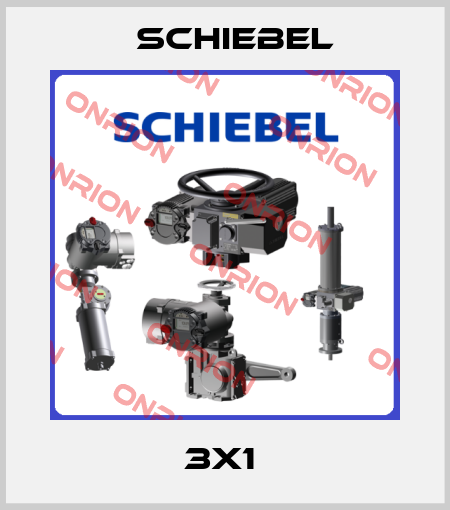 3X1  Schiebel