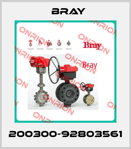 200300-92803561 Bray