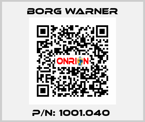 P/N: 1001.040  Borg Warner