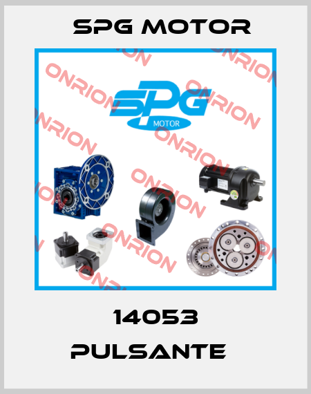 14053 Pulsante   Spg Motor