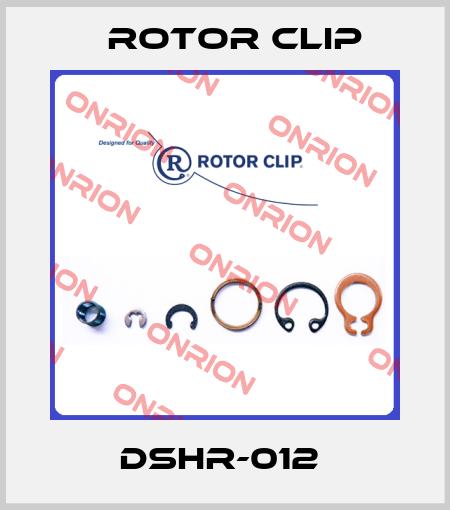 DSHR-012  Rotor Clip