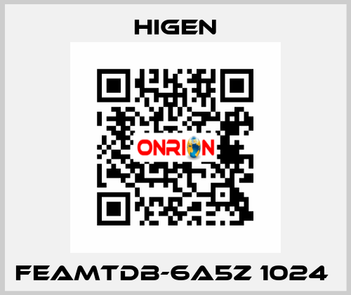 FEAMTDB-6A5Z 1024  Higen