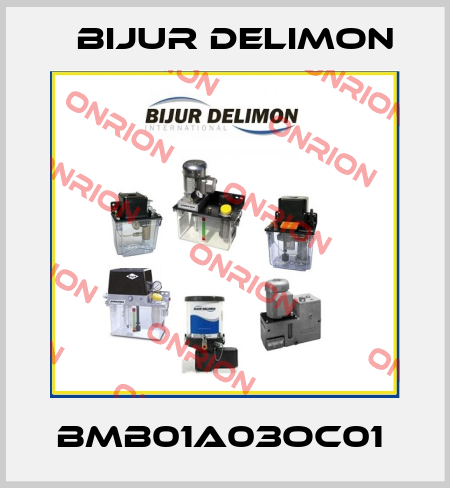 BMB01A03OC01  Bijur Delimon