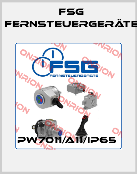 PW7011/A11/IP65  FSG Fernsteuergeräte