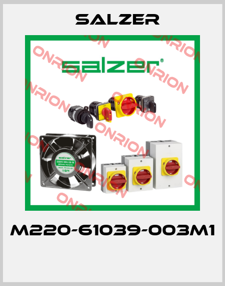 M220-61039-003M1  Salzer