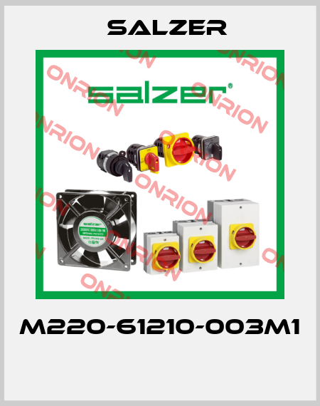 M220-61210-003M1  Salzer