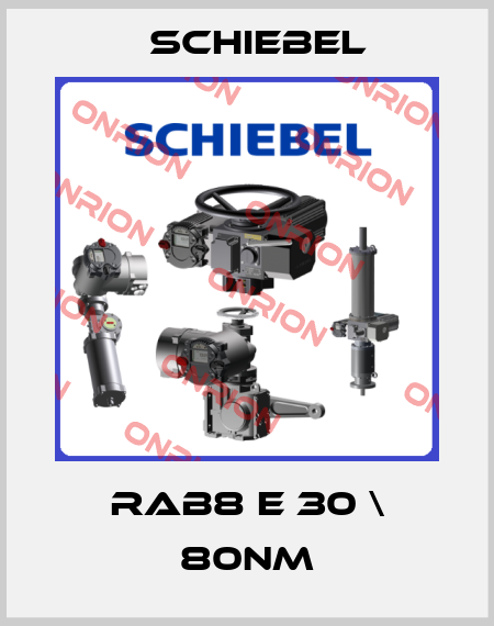 RAB8 E 30 \ 80NM Schiebel