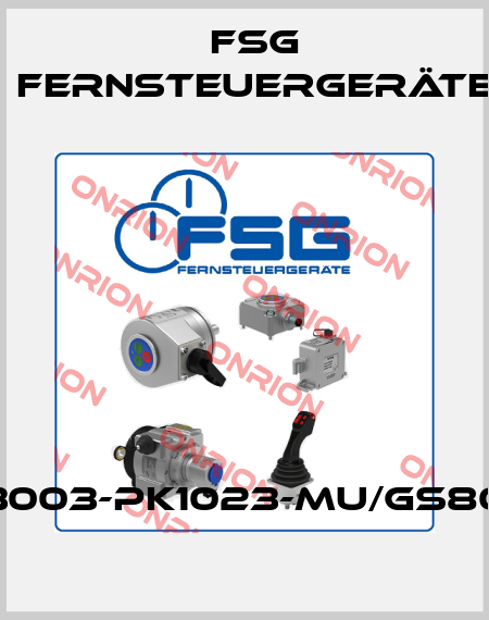 SL3003-PK1023-MU/GS80/01 FSG Fernsteuergeräte