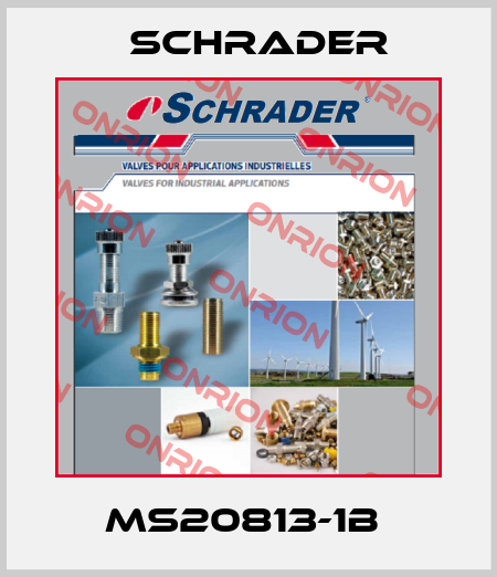 MS20813-1B  Schrader