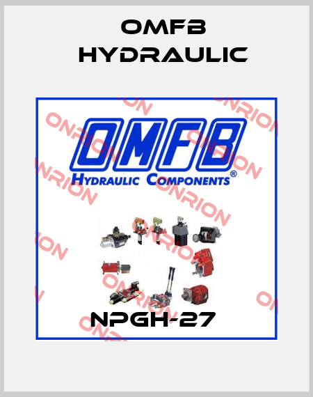 NPGH-27  OMFB Hydraulic