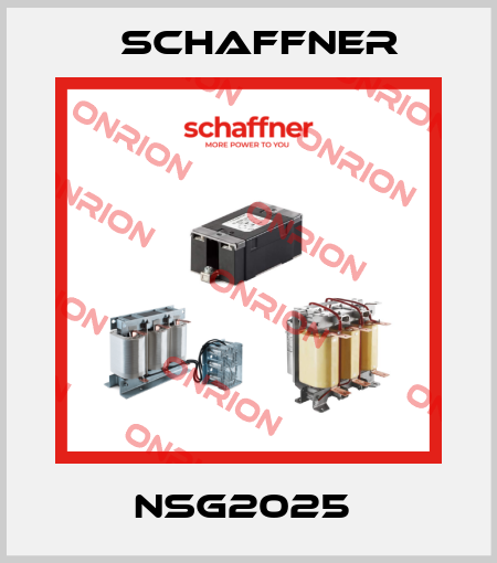 NSG2025  Schaffner