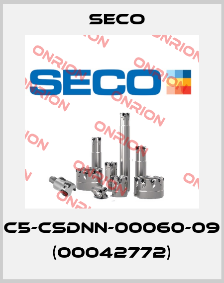 C5-CSDNN-00060-09 (00042772) Seco