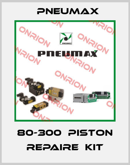 80-300  Piston repaire  kit Pneumax