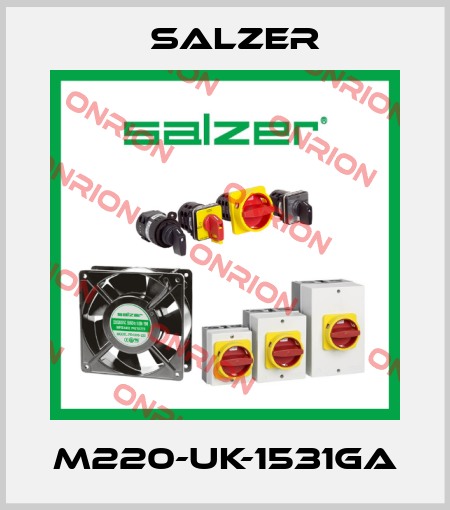 M220-UK-1531GA Salzer
