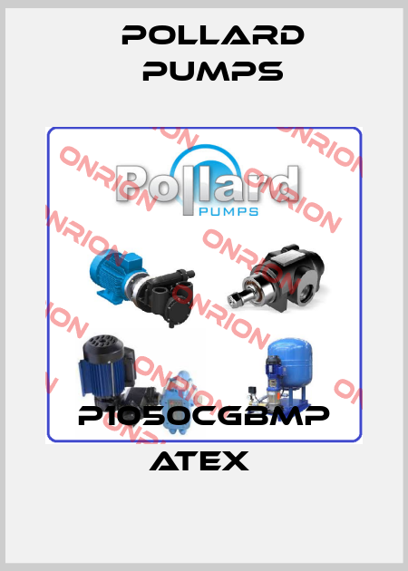 P1050CGBMP ATEX  Pollard pumps