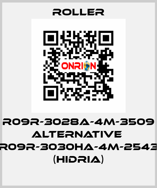 R09R-3028A-4M-3509 alternative  R09R-3030HA-4M-2543 (Hidria) Roller