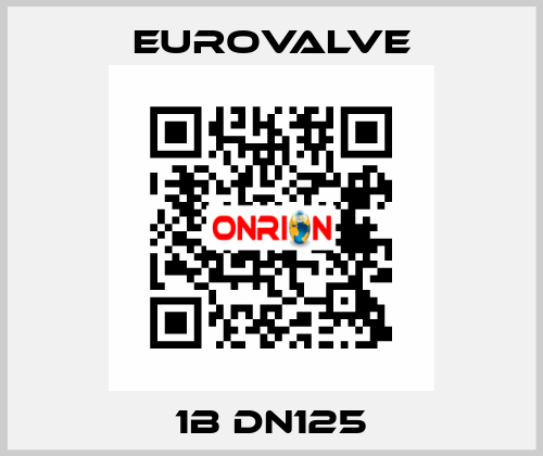 1B DN125 Eurovalve