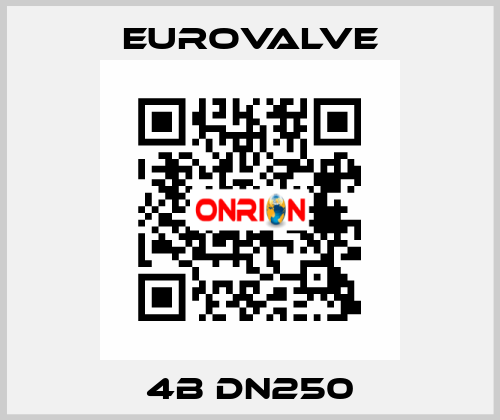 4B DN250 Eurovalve