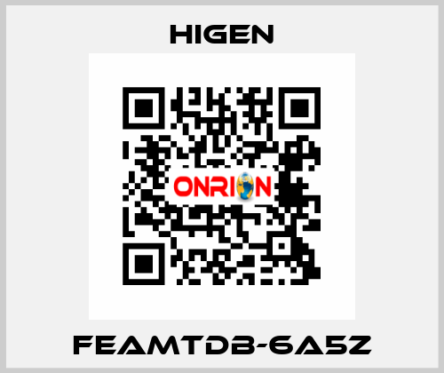 FEAMTDB-6A5Z Higen