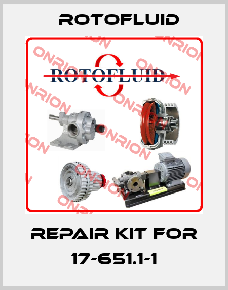 Repair Kit For 17-651.1-1 Rotofluid
