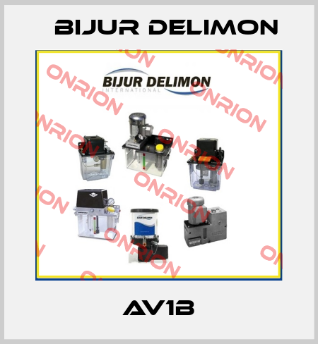 AV1B Bijur Delimon