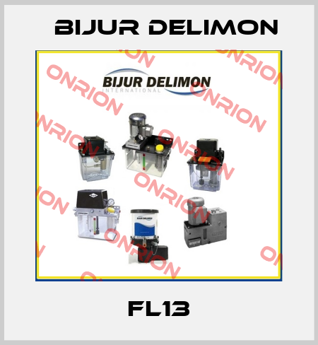FL13 Bijur Delimon