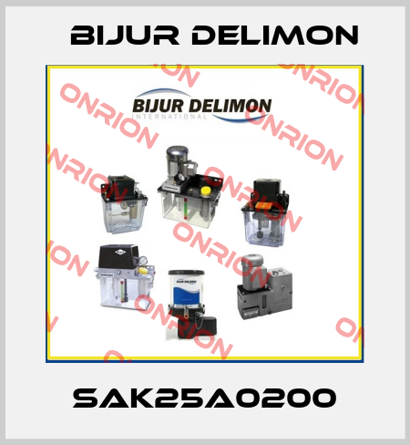 SAK25A0200 Bijur Delimon