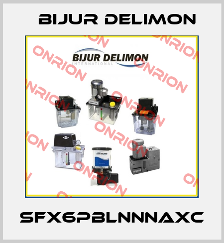 SFX6PBLNNNAXC Bijur Delimon