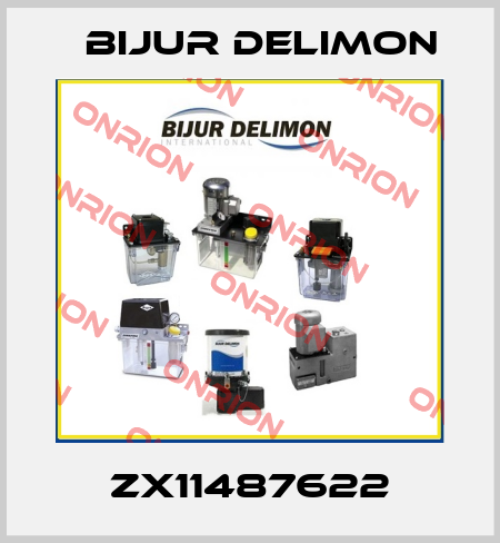 ZX11487622 Bijur Delimon