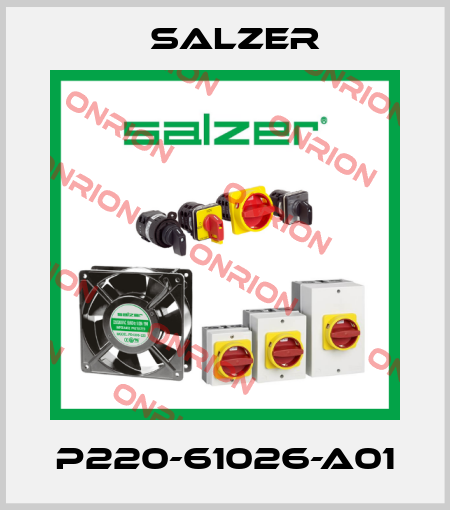 P220-61026-A01 Salzer