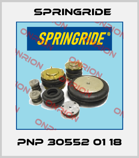 PNP 30552 01 18 Springride