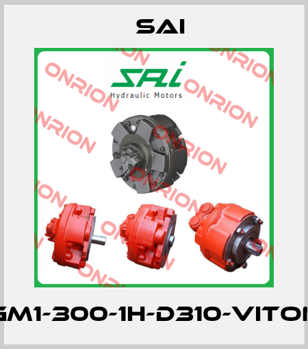 GM1-300-1H-D310-Viton Sai