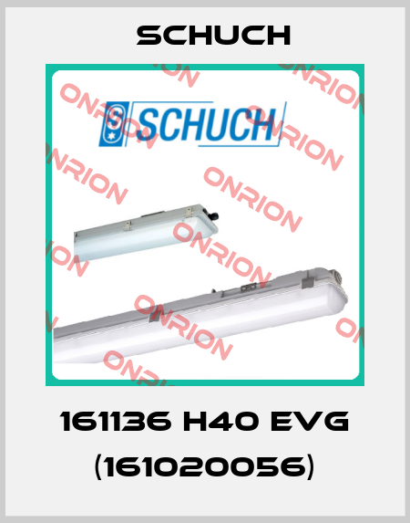 161136 H40 EVG (161020056) Schuch