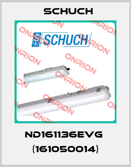 nD161136EVG  (161050014) Schuch