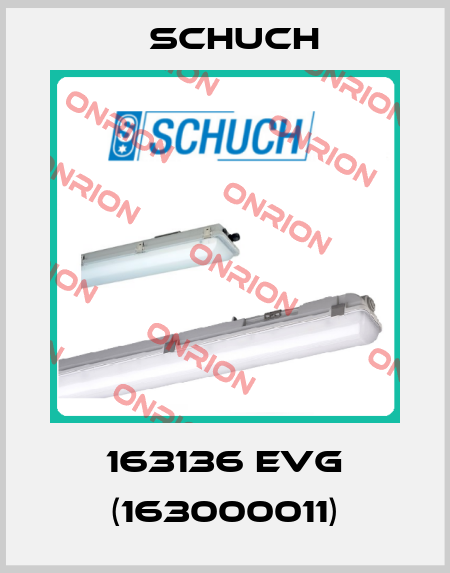 163136 EVG (163000011) Schuch