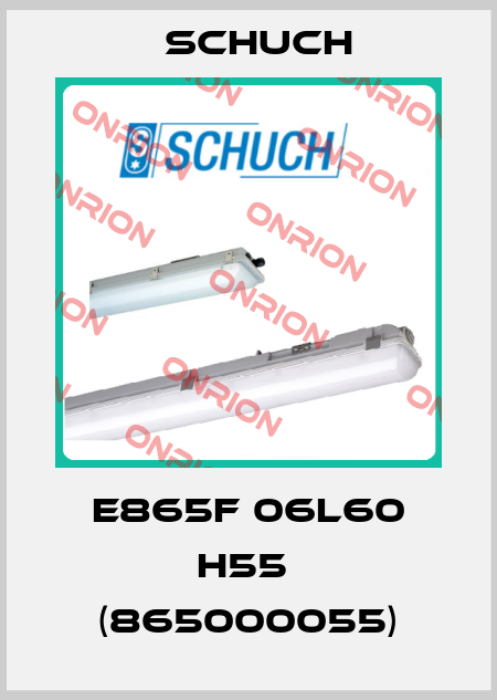 e865F 06L60 H55  (865000055) Schuch