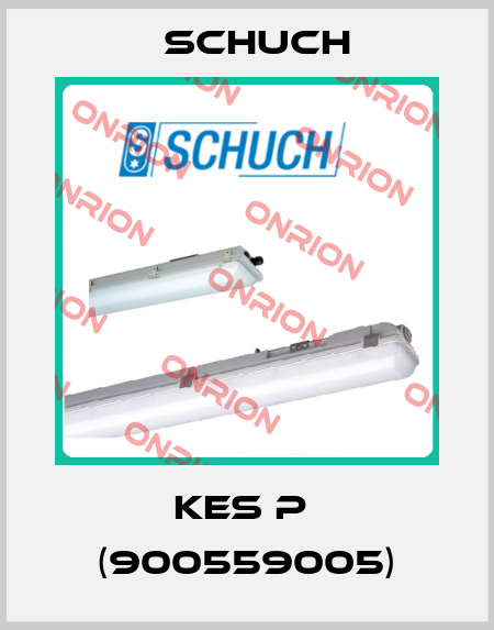 KES P  (900559005) Schuch