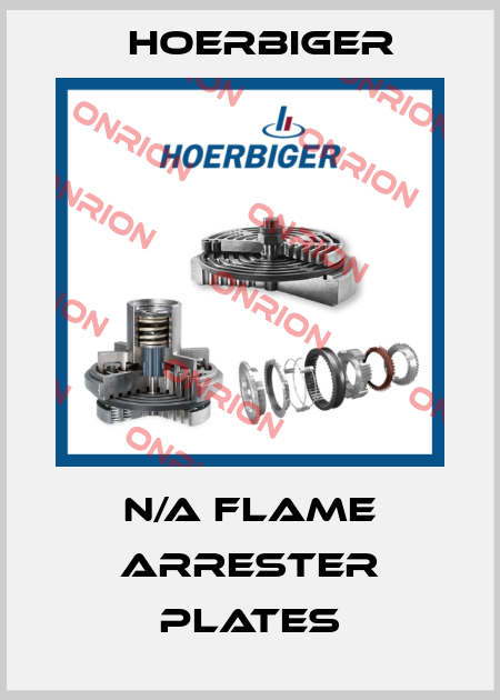 N/A flame arrester plates Hoerbiger