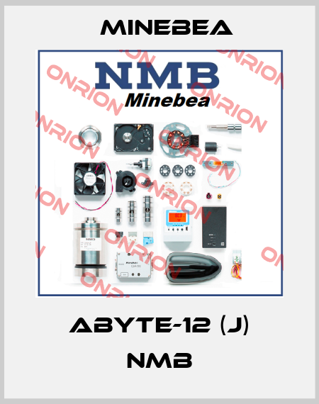 ABYTE-12 (J) NMB Minebea