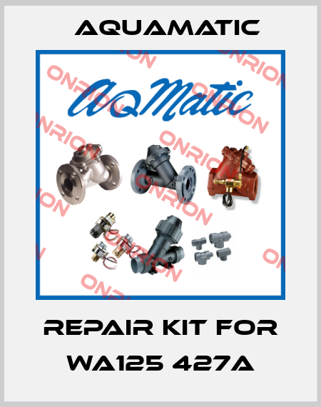 repair kit for WA125 427A AquaMatic
