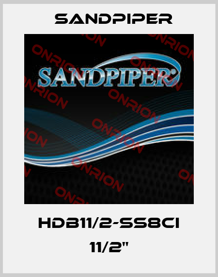 HDB11/2-SS8CI 11/2" Sandpiper