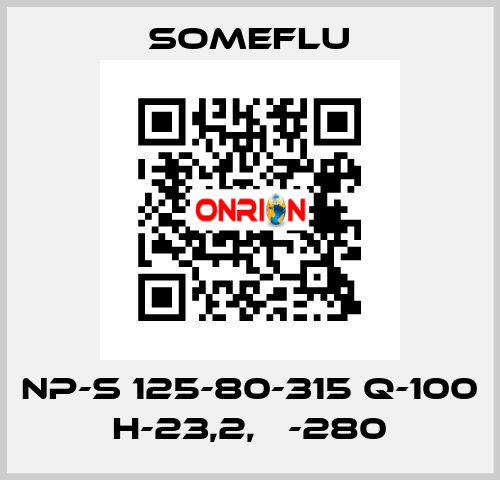 NP-S 125-80-315 Q-100 H-23,2, Ф-280 SOMEFLU