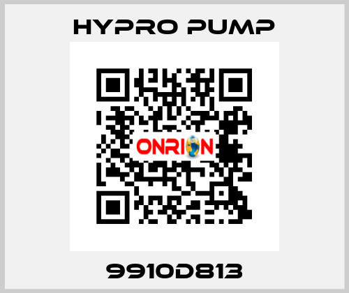 9910D813 Hypro Pump