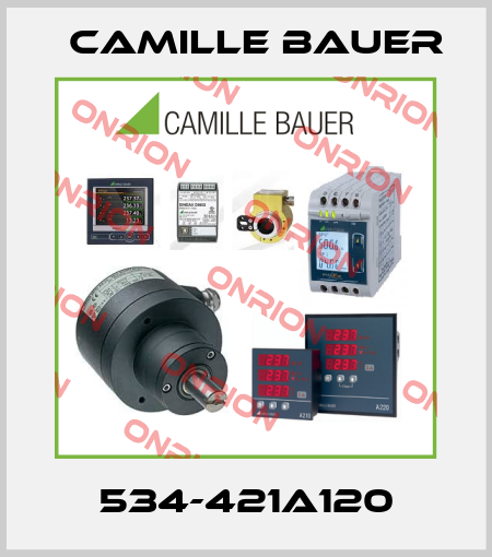 534-421A120 Camille Bauer