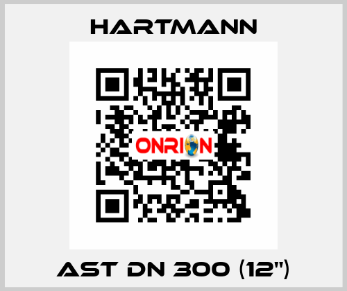 AST DN 300 (12") Hartmann