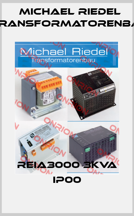 REIA3000 3kVA IP00 Michael Riedel Transformatorenbau