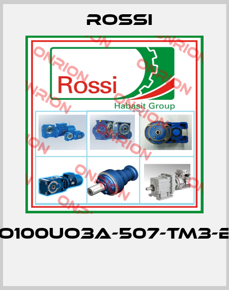 RO100UO3A-507-TM3-B3  Rossi