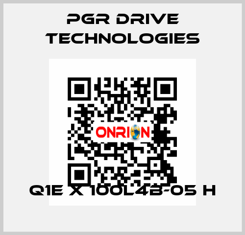 Q1E X 100L4B-05 H PGR Drive Technologies