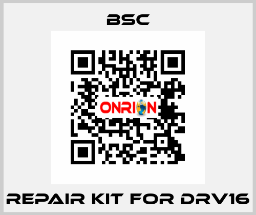 repair kit for DRV16 BSC
